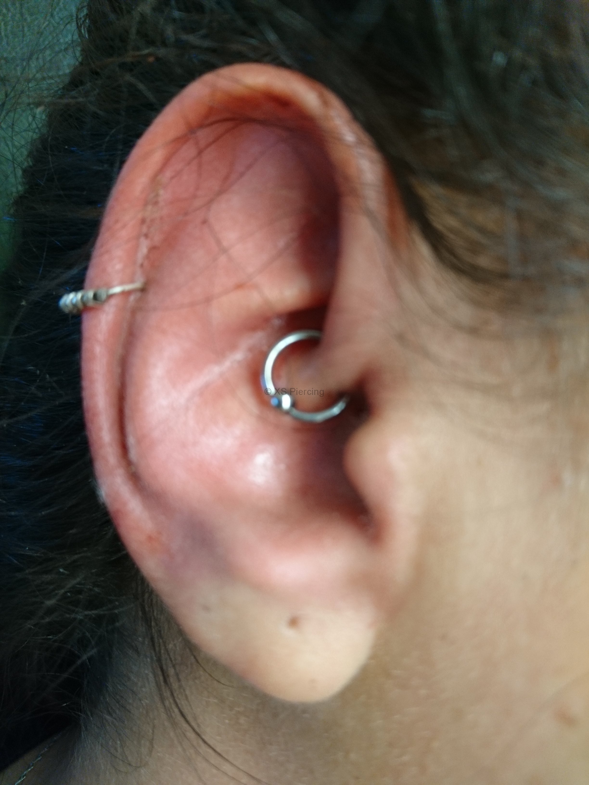 Daith Piercing